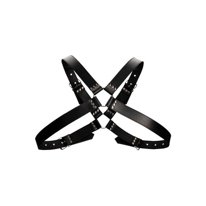 Leather Harness with Large Buckle One Size